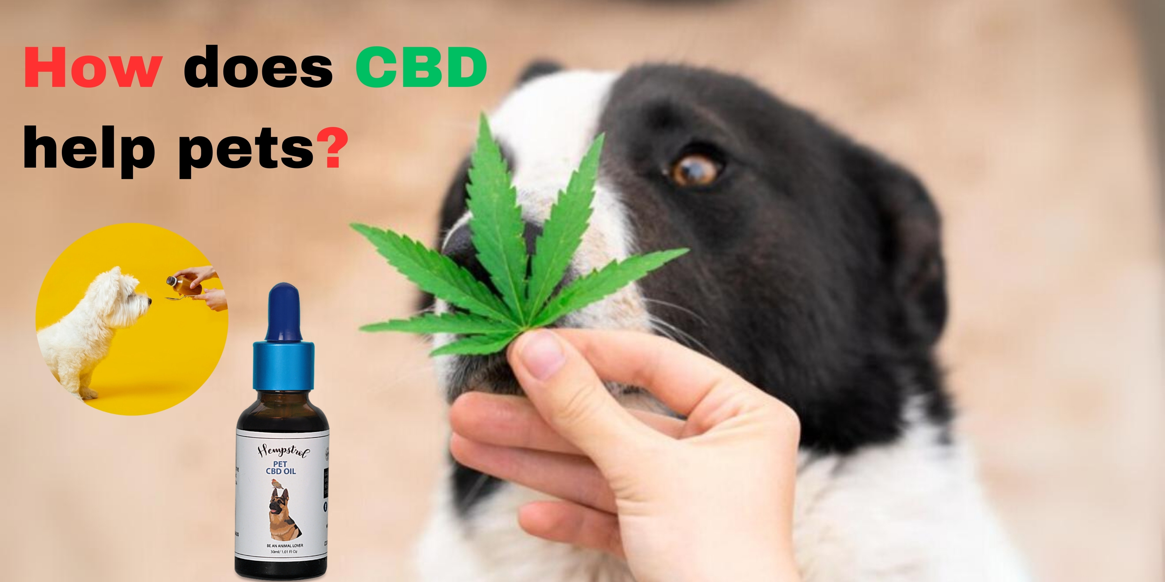 cbd capsules online